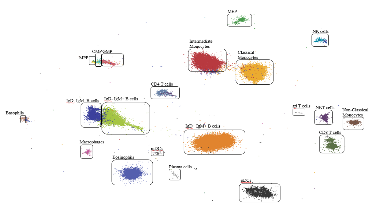 SCALABLE VISUALIZATION FOR HIGH-DIMENSIONAL SINGLE-CELL DATA